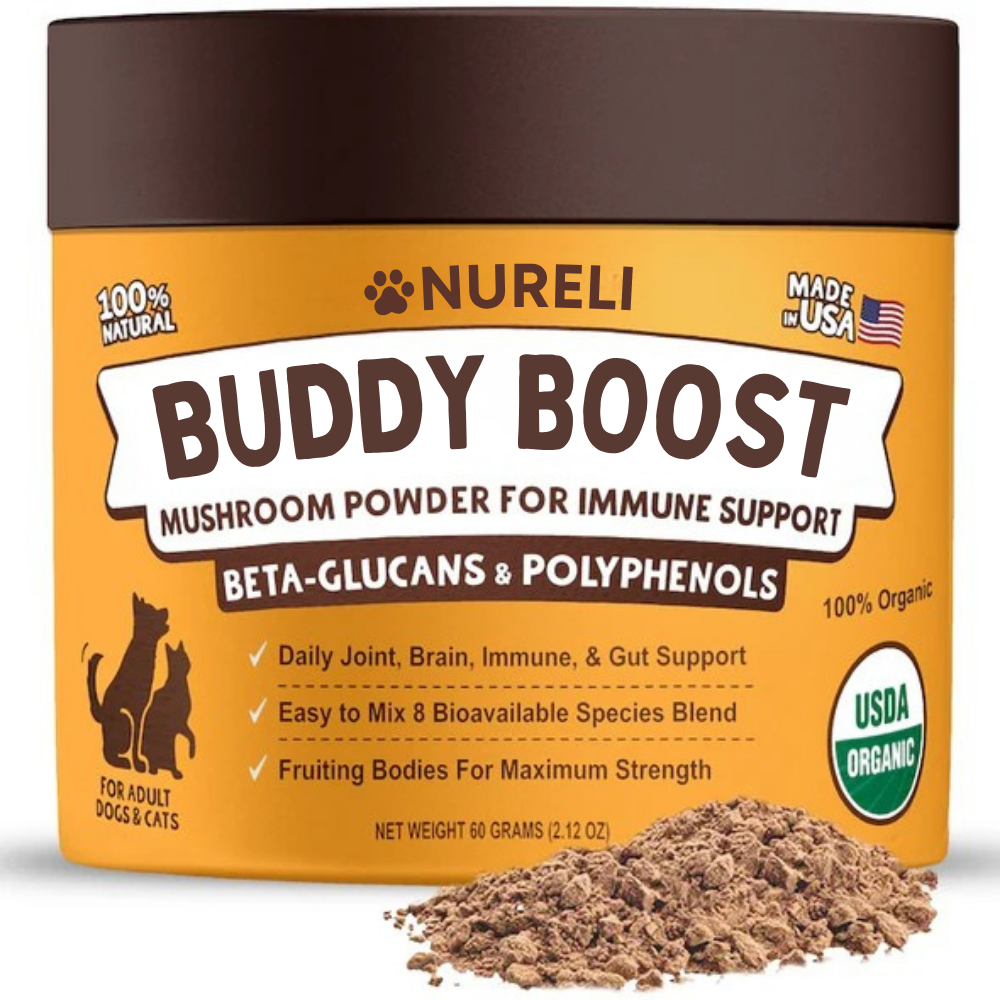 Buddy Boost: Immune Support For Dogs