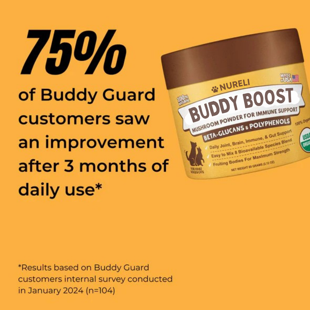 Buddy Boost: Immune Support For Dogs