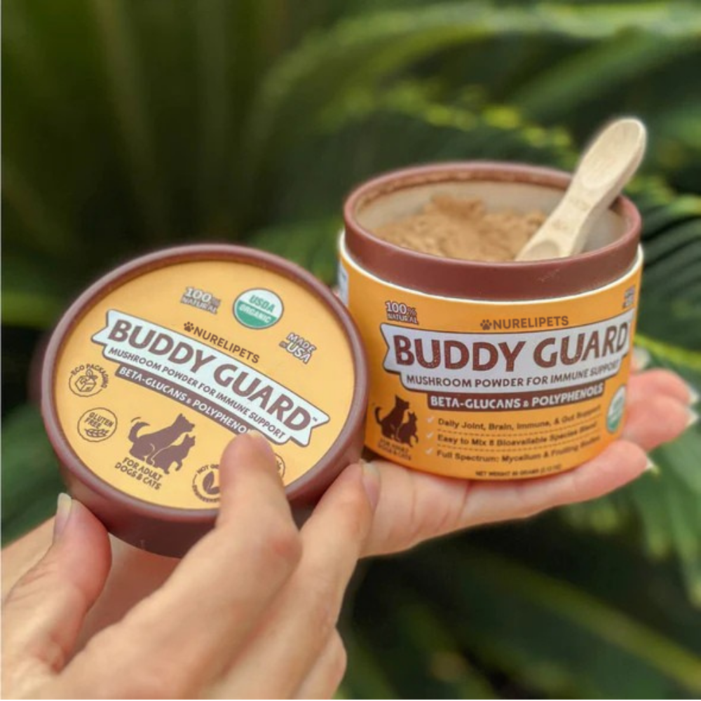 Buddy Boost: Immune Support For Dogs
