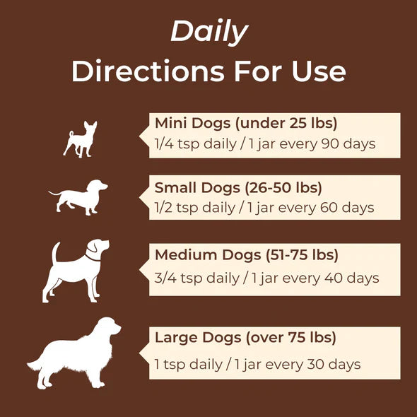 Buddy Boost: Immune Support For Dogs