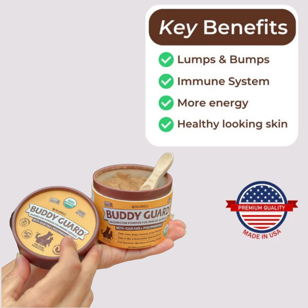 Buddy Boost: Immune Support For Dogs
